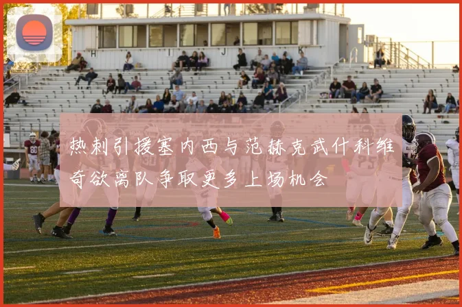 热刺引援塞内西与范赫克武什科维奇欲离队争取更多上场机会