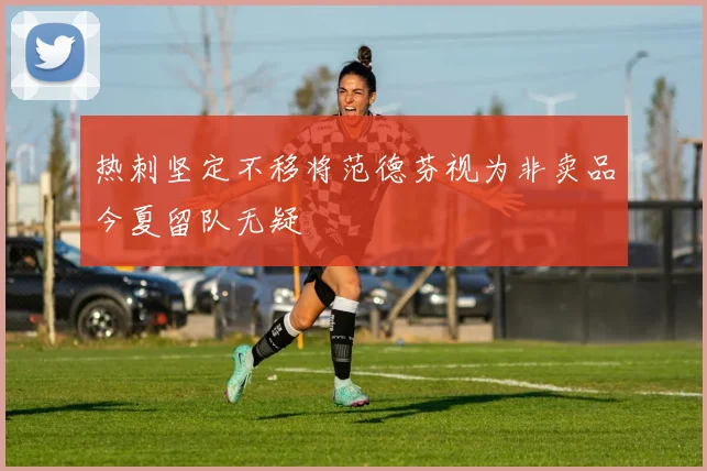 热刺坚定不移将范德芬视为非卖品今夏留队无疑